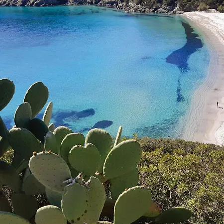La Casa Dei Gatti A Seccheto, Una Chicca Holiday home