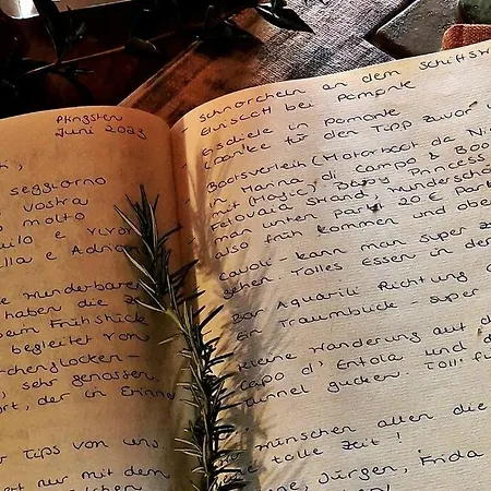 La Casa Dei Gatti A Seccheto, Chicca * Seccheto
