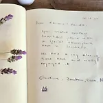 La Casa Dei Gatti A Seccheto, Chicca 펜션 세켈로