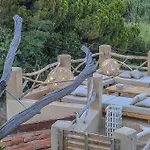 La Casa Dei Gatti A Seccheto, Chicca *