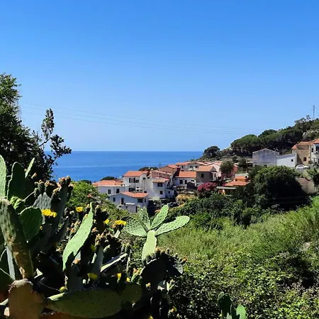 Дом отдыха La Casa Dei Gatti A Seccheto, Chicca