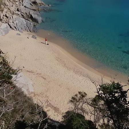 Дом отдыха La Casa Dei Gatti A Seccheto, Chicca Секкело