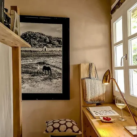 La Casa Dei Gatti A Seccheto, Chicca Tatil Evi