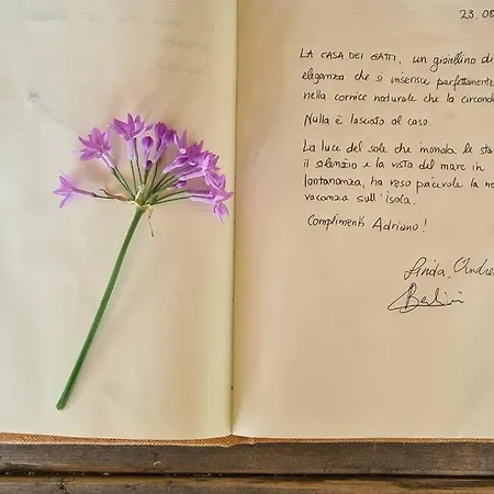 度假居 La Casa Dei Gatti A Seccheto, Chicca