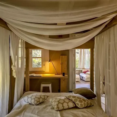 La Casa Dei Gatti A Seccheto, Chicca 度假居 瑟克罗