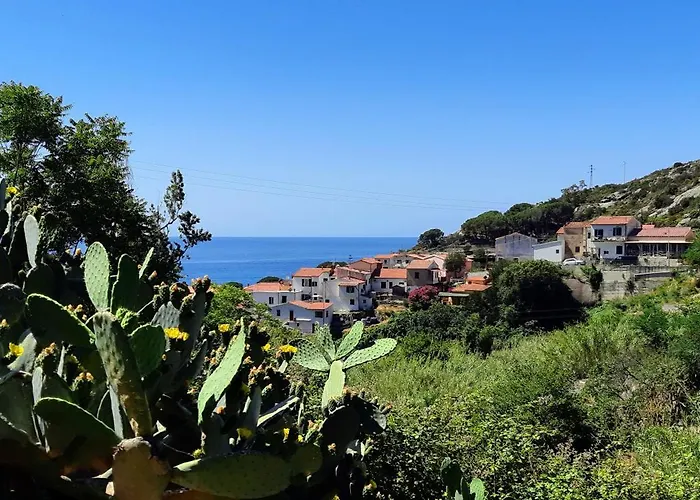 Casa vacanze La Casa Dei Gatti A Seccheto, Chicca