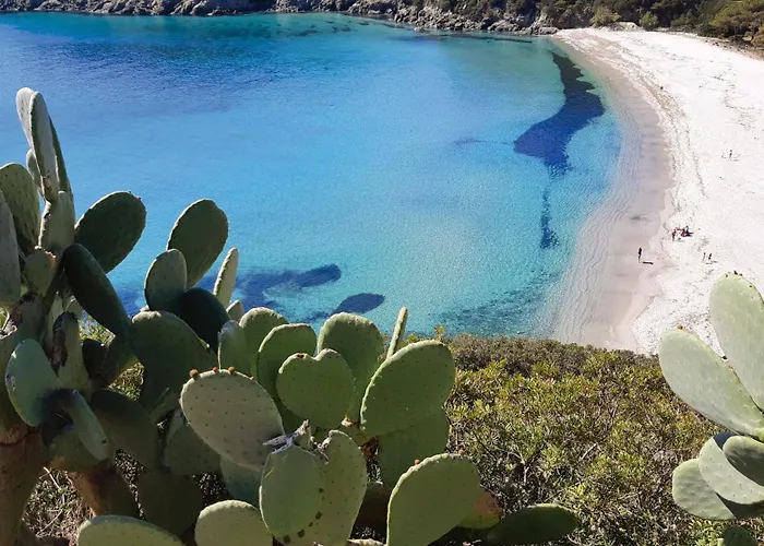 La Casa Dei Gatti A Seccheto, Chicca Casa vacanze