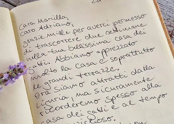 Casa vacanze La Casa Dei Gatti A Seccheto, Chicca