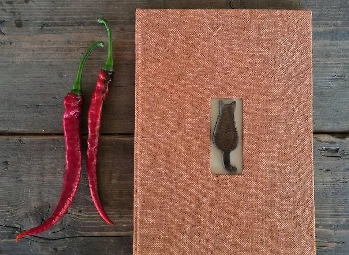 La Casa Dei Gatti A Seccheto, Chicca * Seccheto