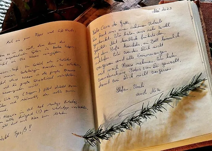 Дом отдыха La Casa Dei Gatti A Seccheto, Chicca Секкело