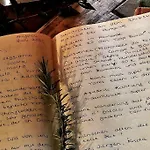 La Casa Dei Gatti A Seccheto, Chicca * سيكيتو